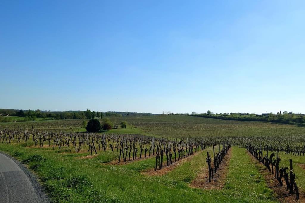 Monestier  Entre Pierre Et Vigne - Charming Former Winery Farmhouse With Hot Tub & Swimming Pool מראה חיצוני תמונה