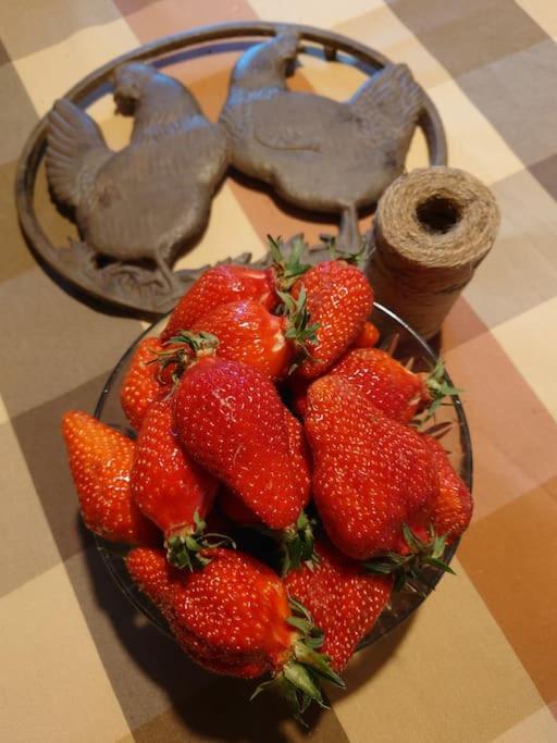 Monestier  Entre Pierre Et Vigne - Charming Former Winery Farmhouse With Hot Tub & Swimming Pool מראה חיצוני תמונה